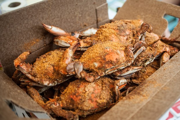 Frisbee and Crabs-18