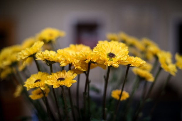 Pastrami Hash - Jackietara blog