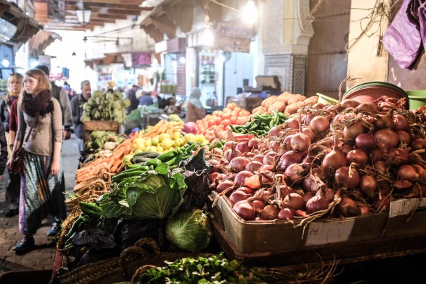 Jackietara blog - Fes