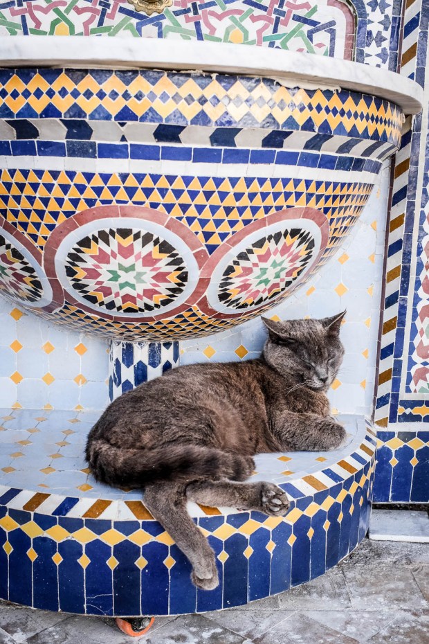 Journey to Merzouga-2