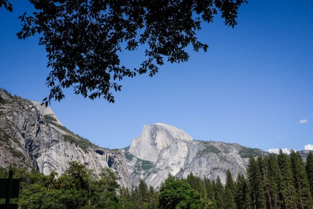 Yosemite + San Fran-16