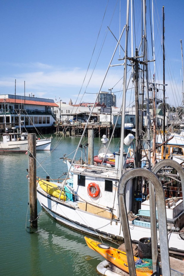 Yosemite + San Fran-26