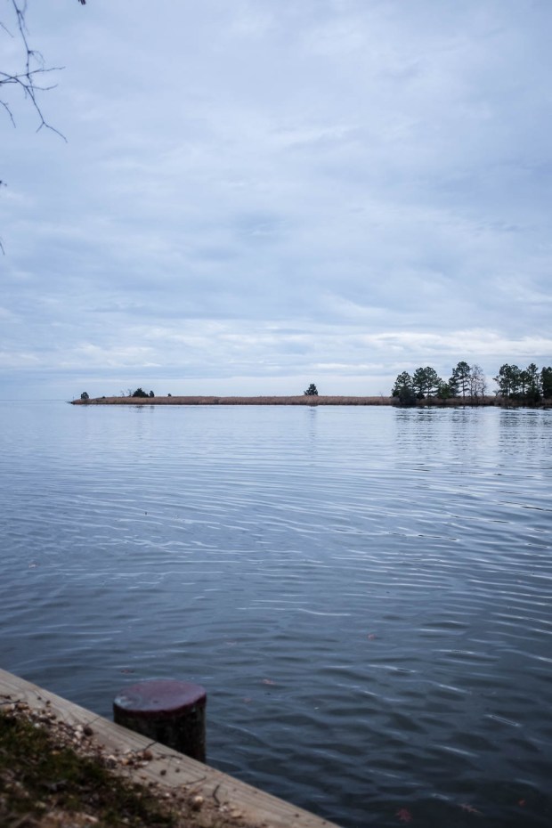 Jackietara Blog - Rose Gold and Blue