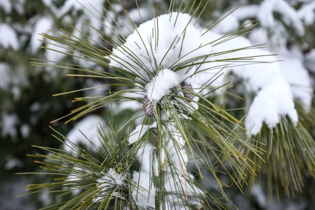 Jackietara blog - Fuzzy Hat