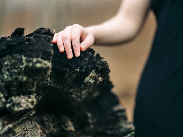 Jackie Tara blog - Rock Creek Park