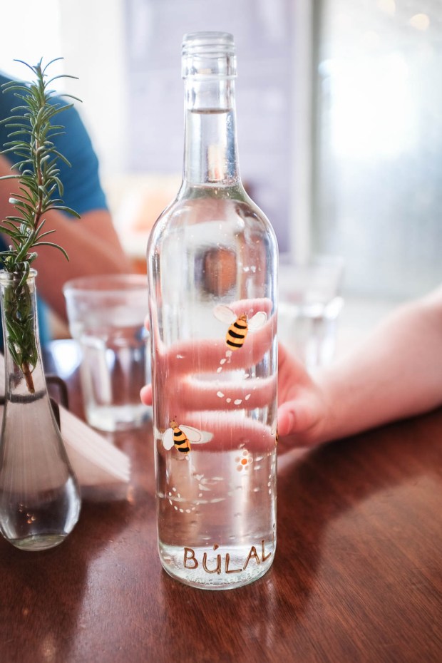 Jackie Tara blog - Costa Rica