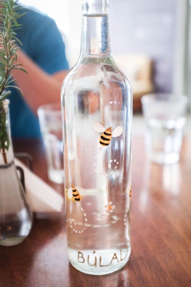 Jackie Tara blog - Costa Rica