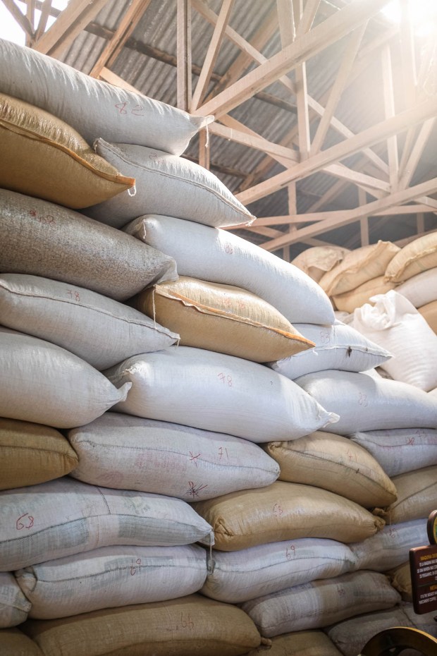 Jackie Tara Blog - Costa Rica Part II: Poas Volcano Tour