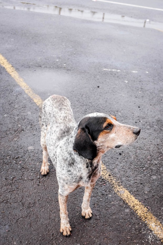 Jackie Tara Blog - Costa Rica Part II: Poas Volcano Tour