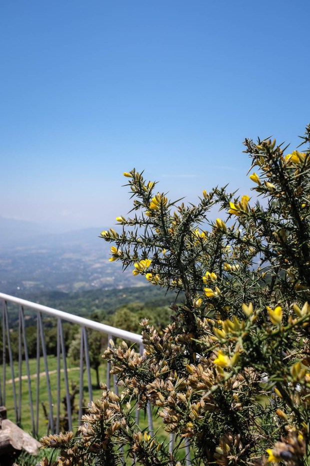 Jackie Tara Blog - Costa Rica Part II: Poas Volcano Tour