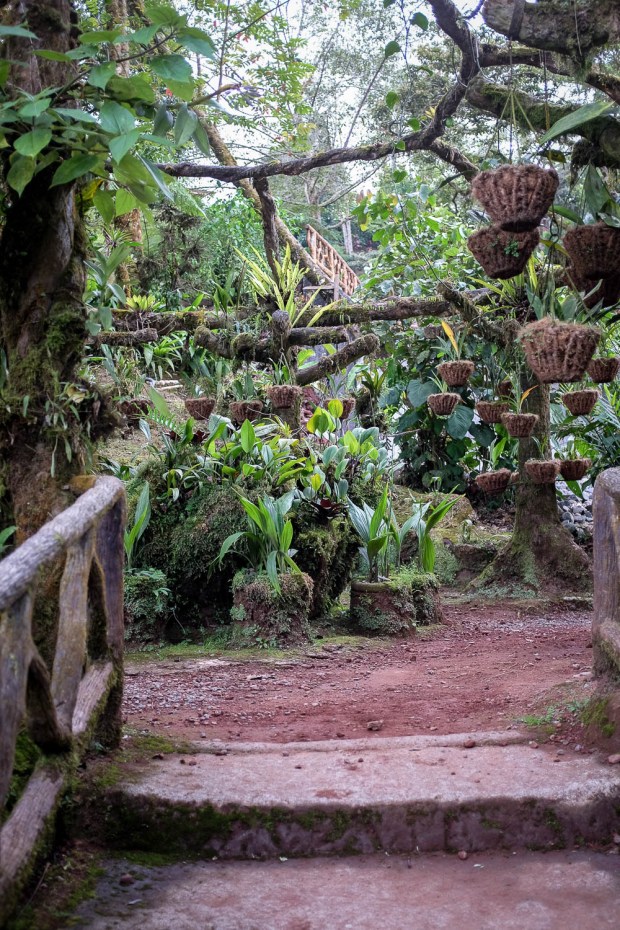 Jackie Tara Blog - Costa Rica Part II: Poas Volcano Tour