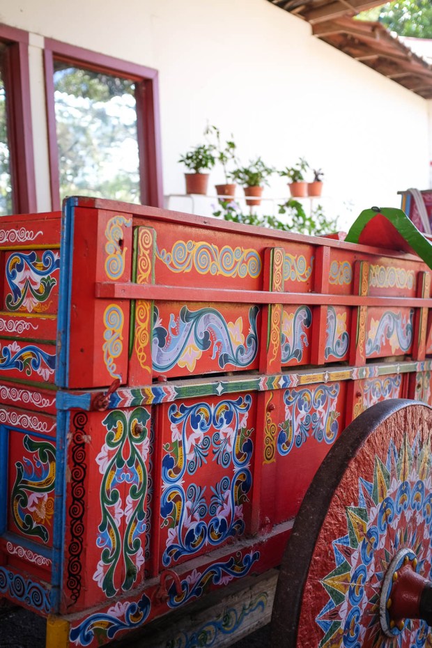 Jackie Tara Blog - Costa Rica Part II: Poas Volcano Tour