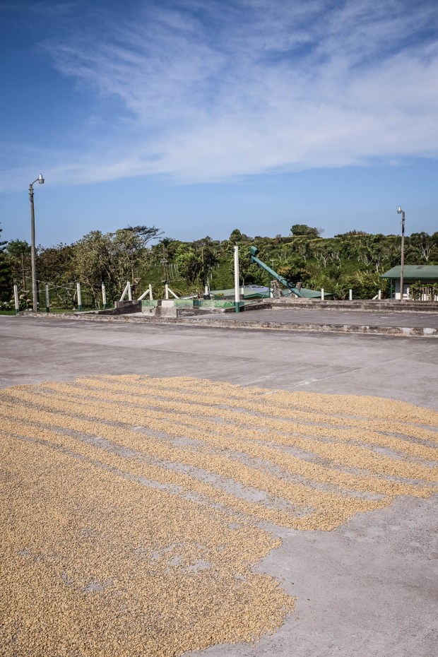 Jackie Tara Blog - Costa Rica Part II: Poas Volcano Tour