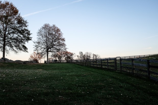 copp-family-portraits-11-06-16-56